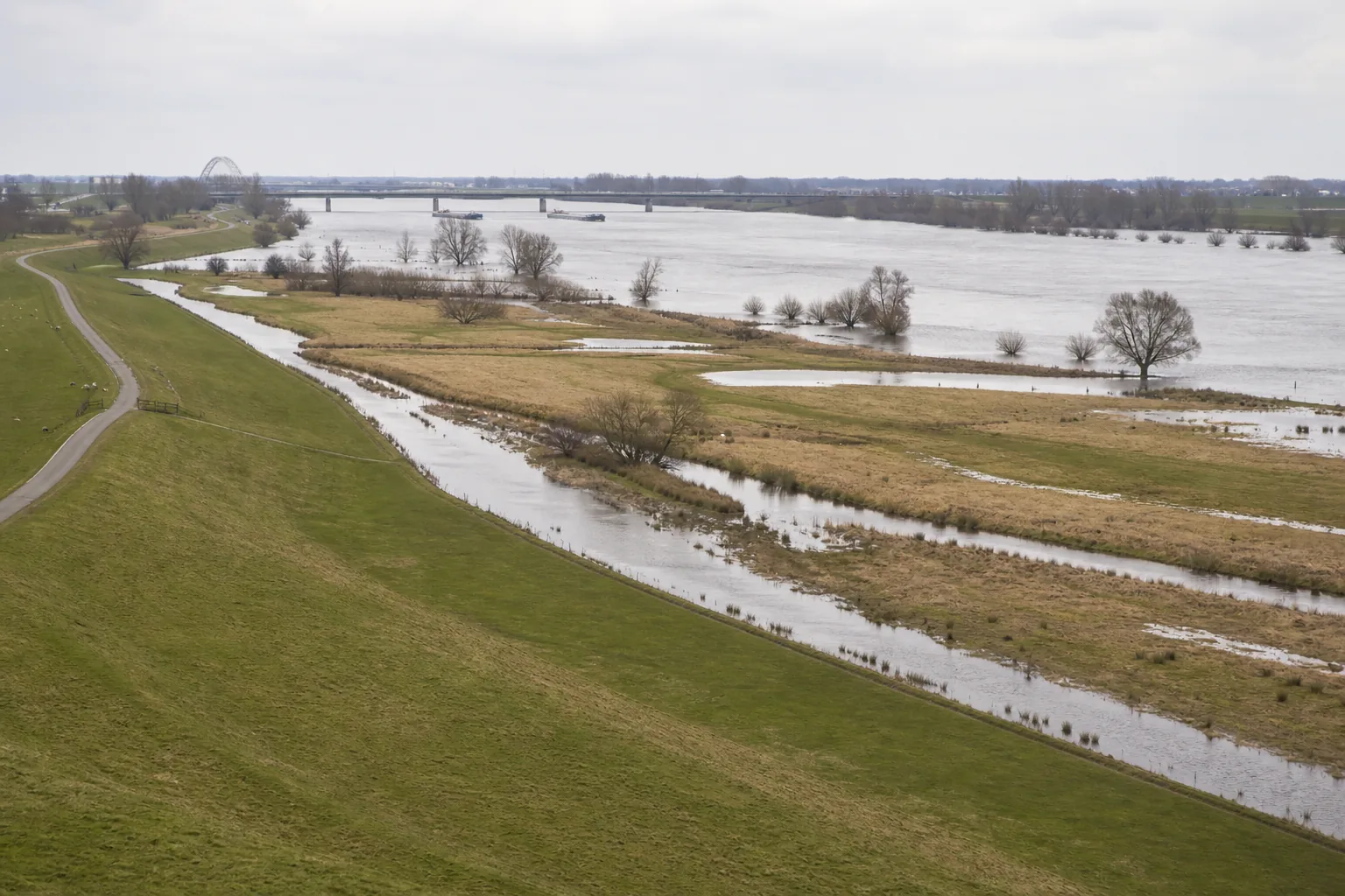 Brede uiterwaarden met watergeulen naast de Waal en een groene winterdijk